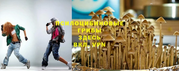 герыч Алексин