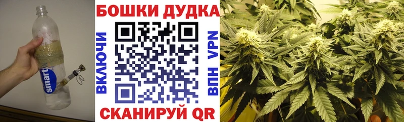 хочу   Краснознаменск  Бошки марихуана план 